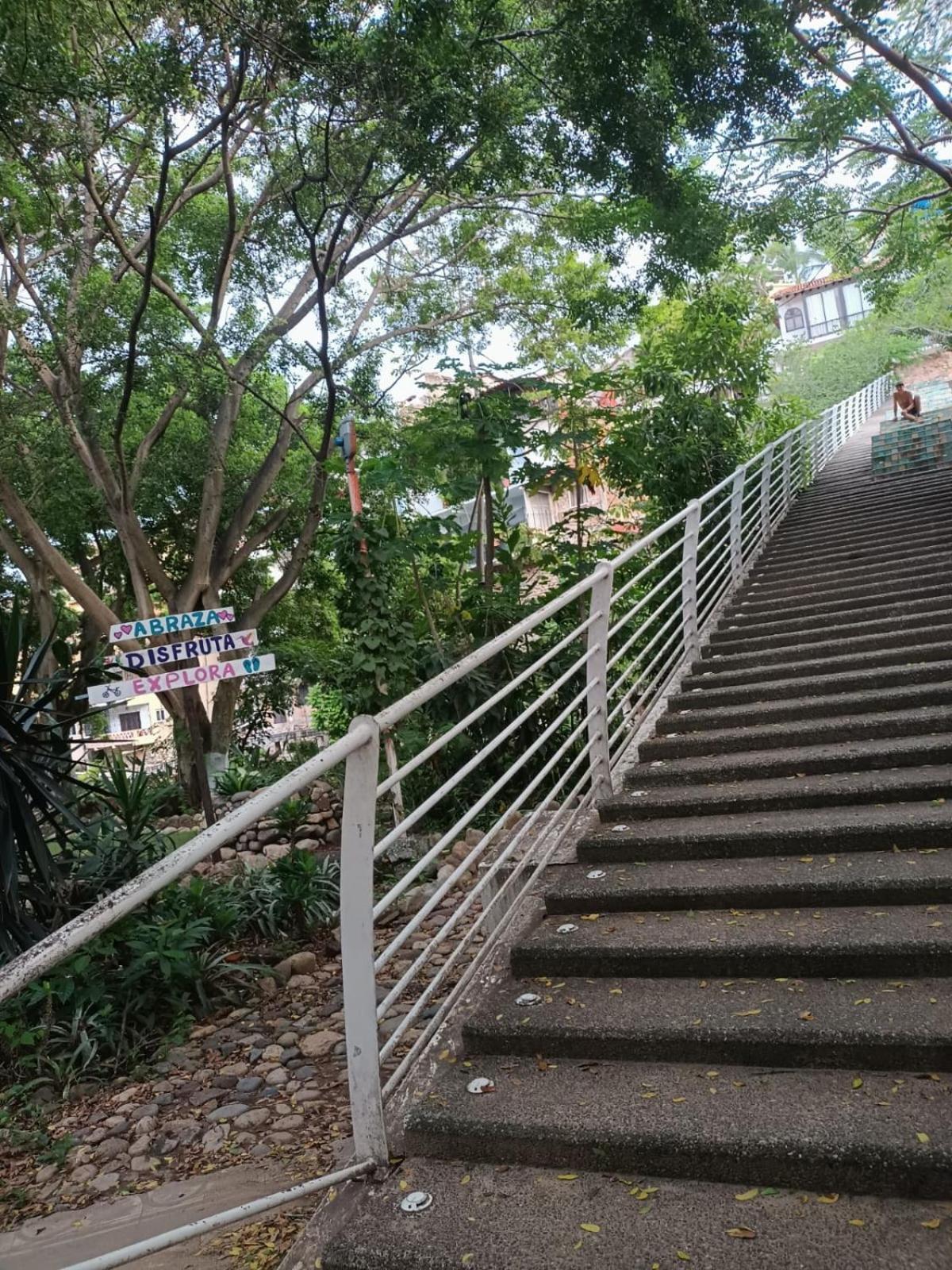Hotel Ana Liz Puerto Vallarta Ngoại thất bức ảnh